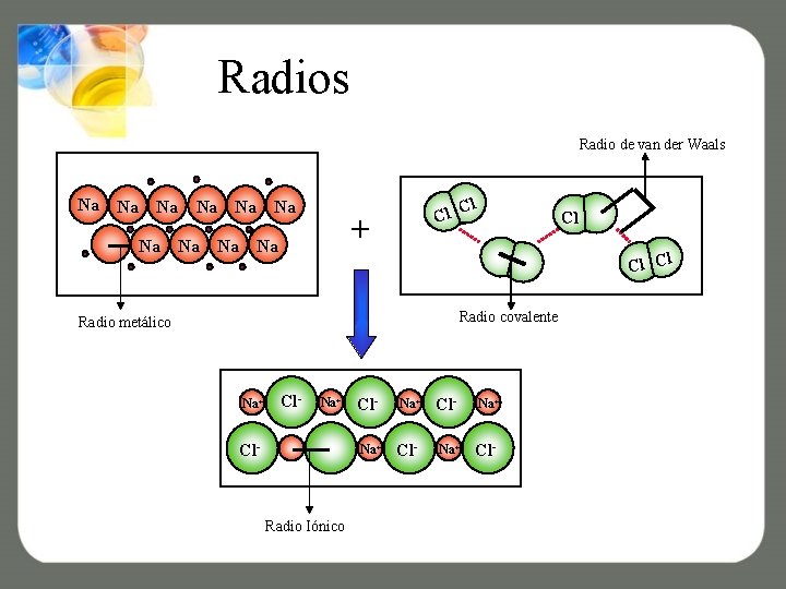 Radios Radio de van der Waals Na Na Na Cl l C + Na