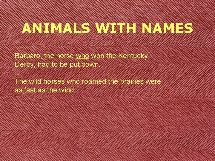 ANIMALS WITH NAMES Barbaro, the horse who won the Kentucky Derby, had to be