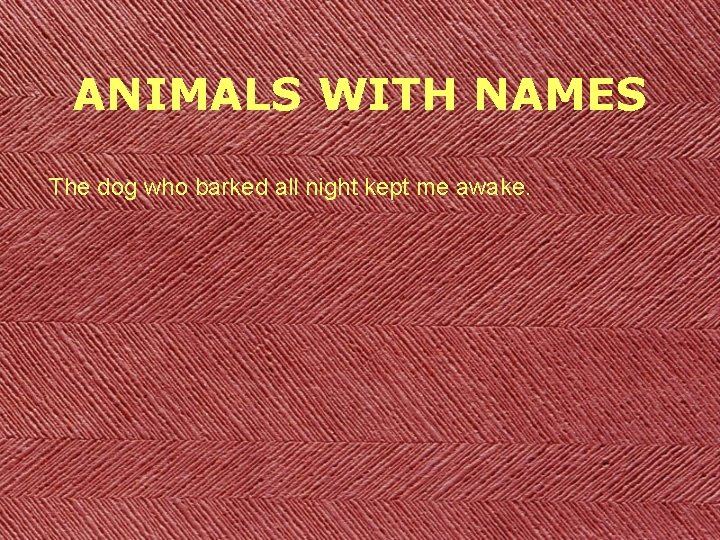 ANIMALS WITH NAMES The dog who barked all night kept me awake. 