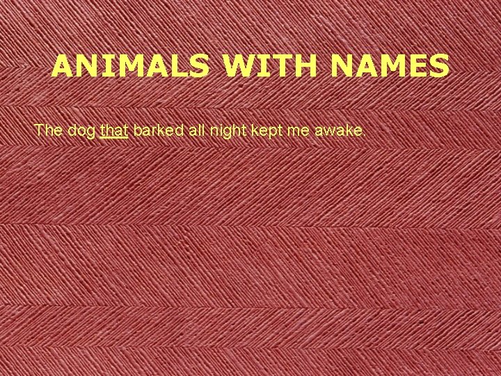 ANIMALS WITH NAMES The dog that barked all night kept me awake. 
