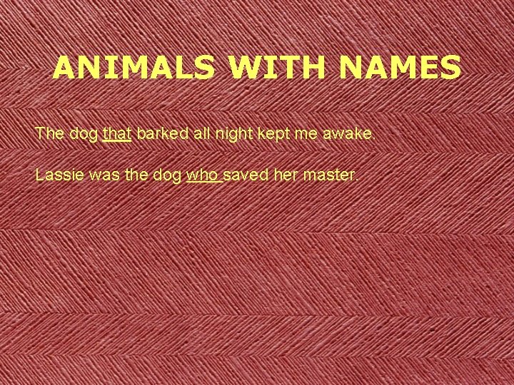 ANIMALS WITH NAMES The dog that barked all night kept me awake. Lassie was