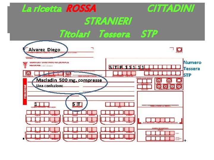 La ricetta ROSSA CITTADINI La ricetta ROSSA Legge 206/2004 STRANIERI Titolari Tessera STP Alvarez