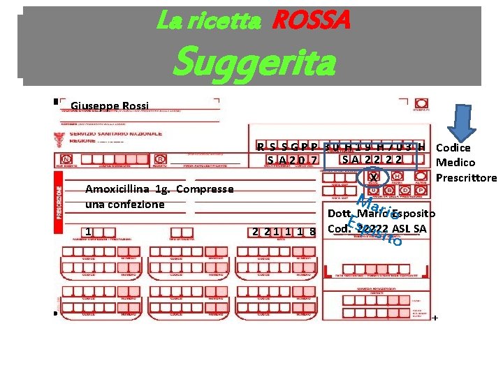 La ricetta ROSSA Legge 206/2004 Suggerita Giuseppe Rossi Amoxicillina 1 g. Compresse una confezione