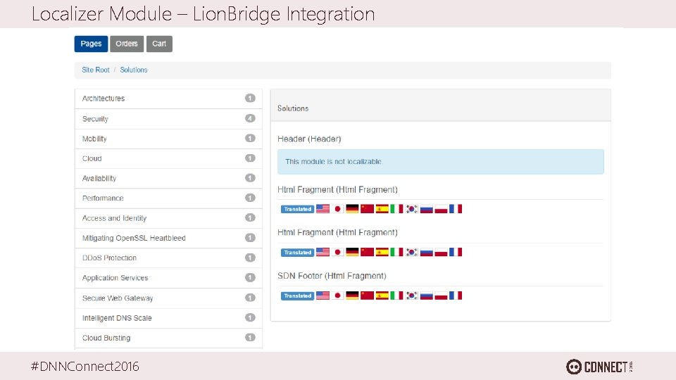 Localizer Module – Lion. Bridge Integration #DNNConnect 2016 