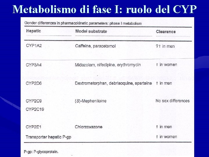 Metabolismo di fase I: ruolo del CYP 