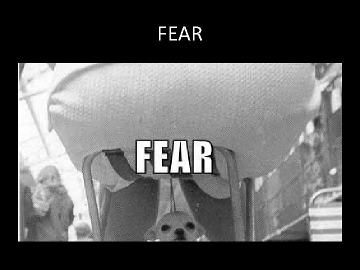 FEAR 