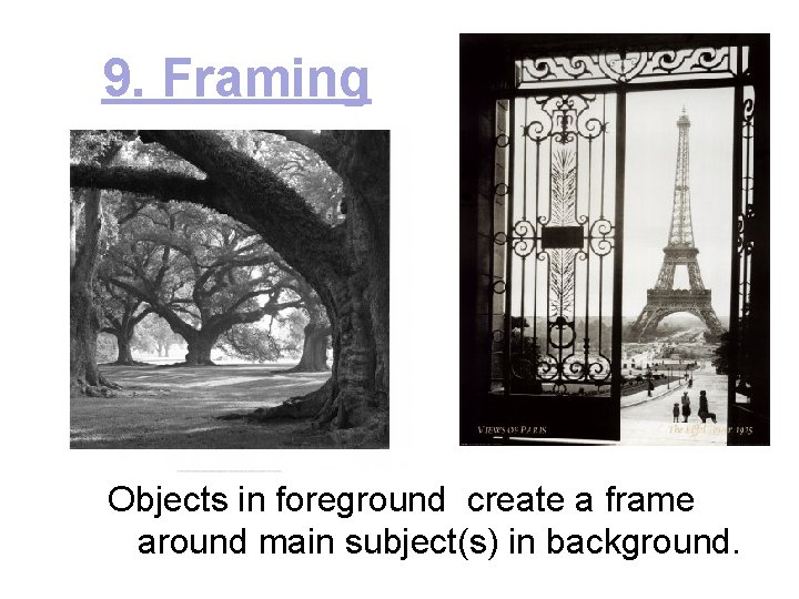 9. Framing Objects in foreground create a frame around main subject(s) in background. 