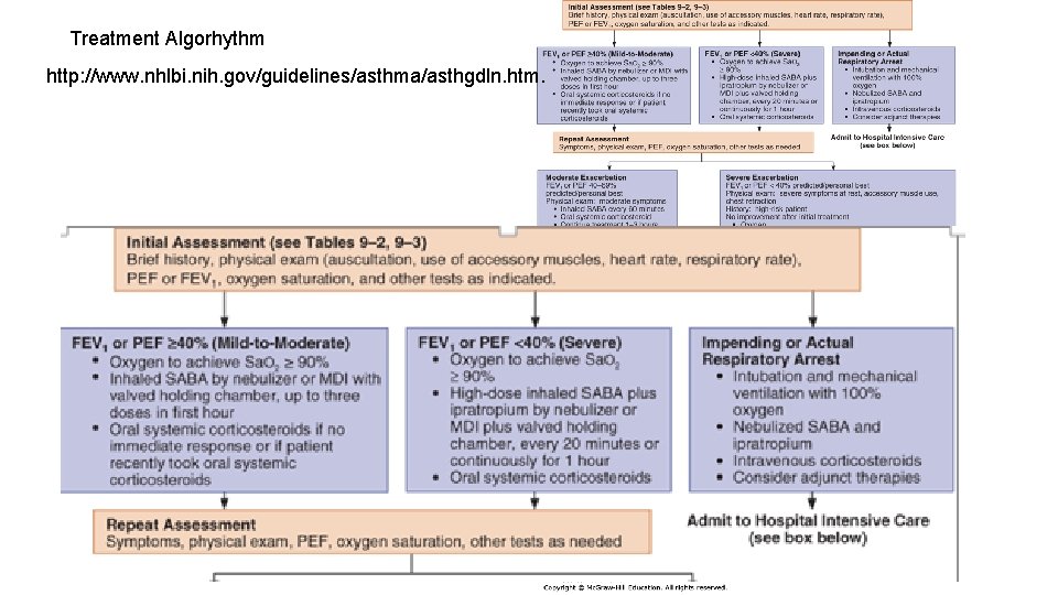 Treatment Algorhythm http: //www. nhlbi. nih. gov/guidelines/asthma/asthgdln. htm. Treatment Algorhythm http: //www. nhlbi. nih. gov/guidelines/asthma/asthgdln. htm.
