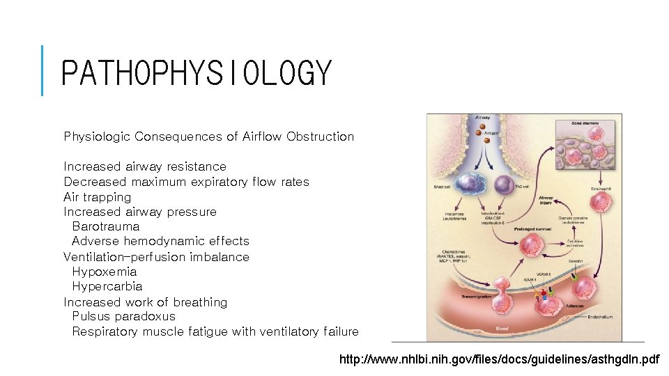 PATHOPHYSIOLOGY Physiologic Consequences of Airflow Obstruction Increased airway resistance Decreased maximum expiratory flow rates PATHOPHYSIOLOGY Physiologic Consequences of Airflow Obstruction Increased airway resistance Decreased maximum expiratory flow rates