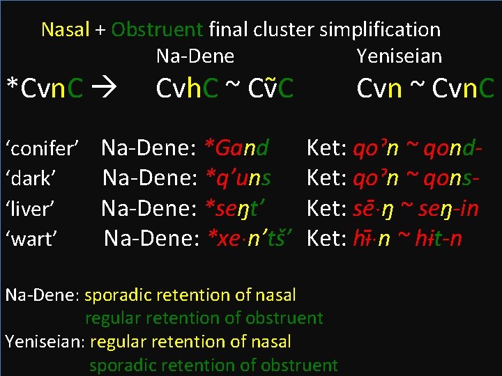 Nasal + Obstruent final cluster simplification Na-Dene Yeniseian *Cvn. C Cvh. C ~ Cv