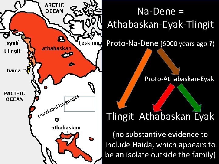 Na-Dene = Athabaskan-Eyak-Tlingit Proto-Na-Dene (6000 years ago ? ) Proto-Athabaskan-Eyak es g a gu
