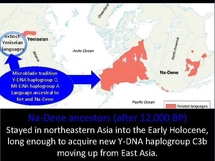 extinct Yeniseian languages Microblade tradition Y-DNA haplogroup Q Mt-DNA haplogroup A Language ancestral to