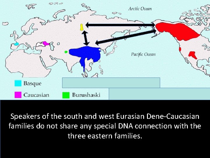 Speakers of the south and west Eurasian Dene-Caucasian families do not share any special
