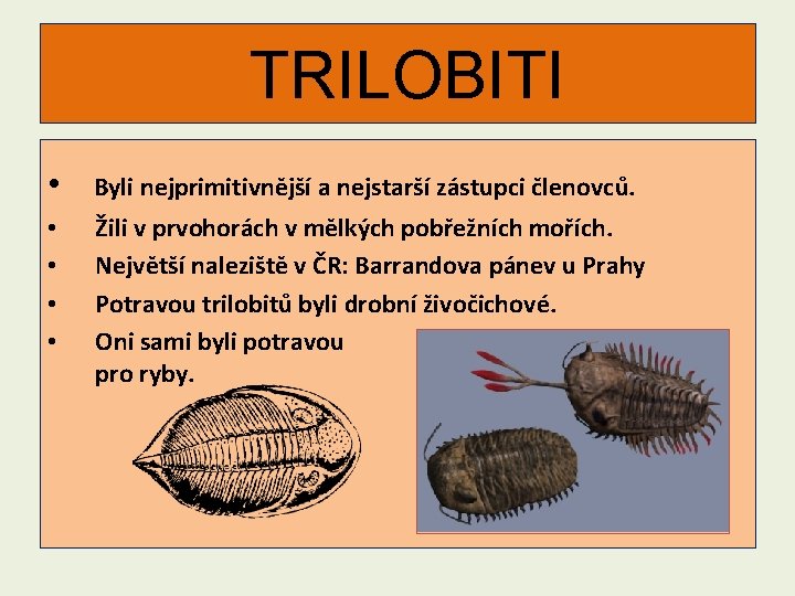 TRILOBITI • Byli nejprimitivnější a nejstarší zástupci členovců. • • Žili v prvohorách v