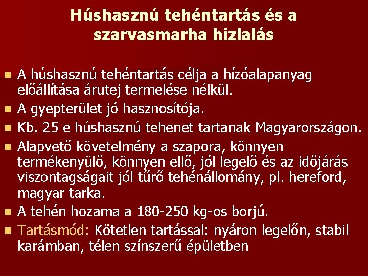 Húshasznú tehéntartás és a szarvasmarha hizlalás n n n A húshasznú tehéntartás célja a