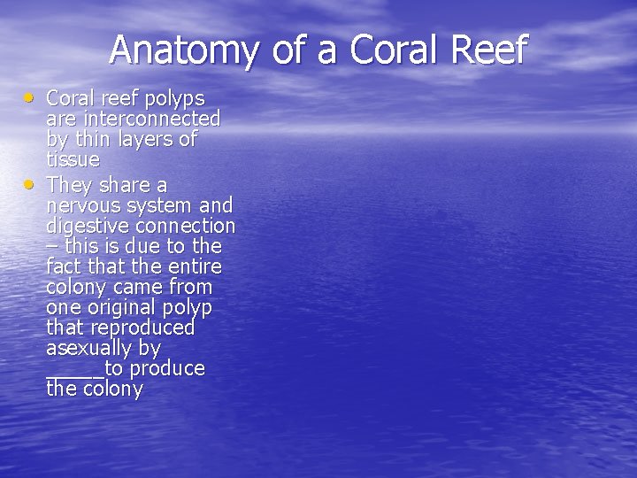 Anatomy of a Coral Reef • Coral reef polyps • are interconnected by thin Anatomy of a Coral Reef • Coral reef polyps • are interconnected by thin