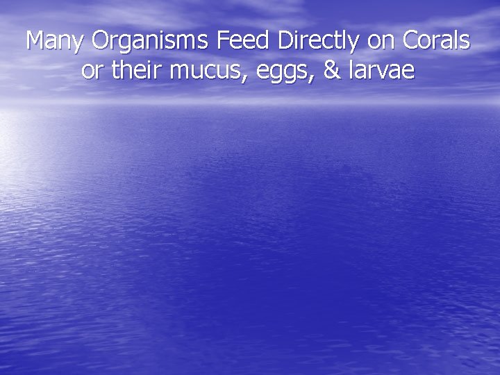 Many Organisms Feed Directly on Corals or their mucus, eggs, & larvae Many Organisms Feed Directly on Corals or their mucus, eggs, & larvae