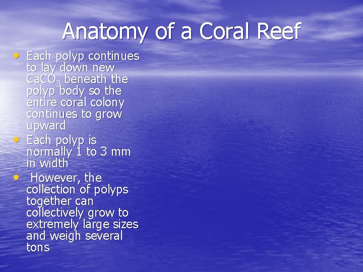 Anatomy of a Coral Reef • Each polyp continues • • to lay down Anatomy of a Coral Reef • Each polyp continues • • to lay down