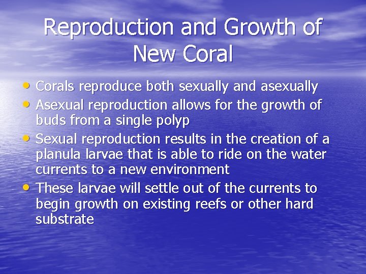 Reproduction and Growth of New Coral • Corals reproduce both sexually and asexually • Reproduction and Growth of New Coral • Corals reproduce both sexually and asexually •