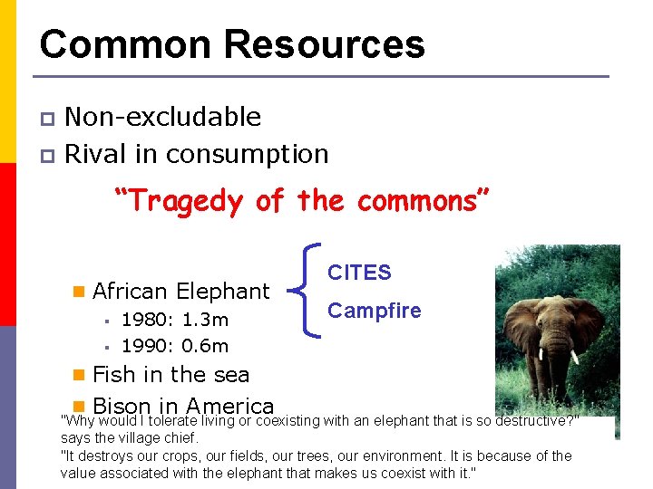 Common Resources Non-excludable p Rival in consumption p “Tragedy of the commons” n African