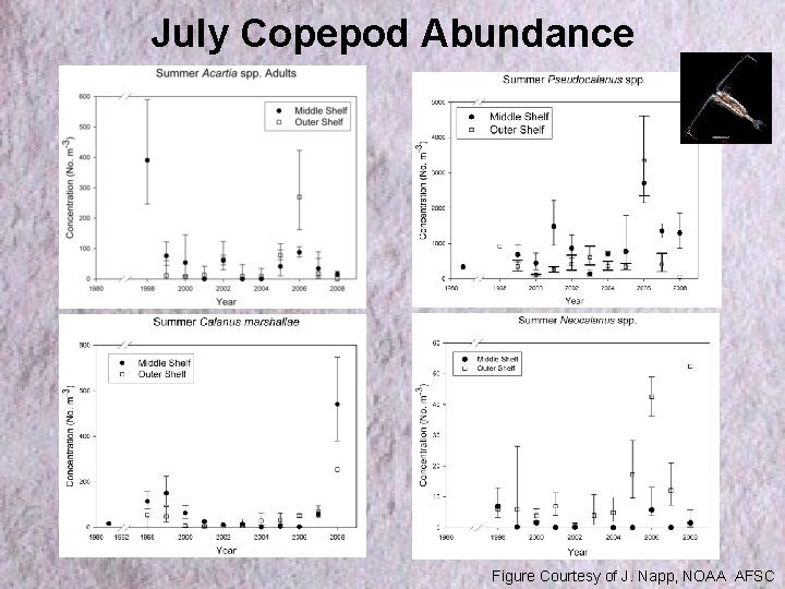 July Copepod Abundance Figure Courtesy of J. Napp, NOAA AFSC 