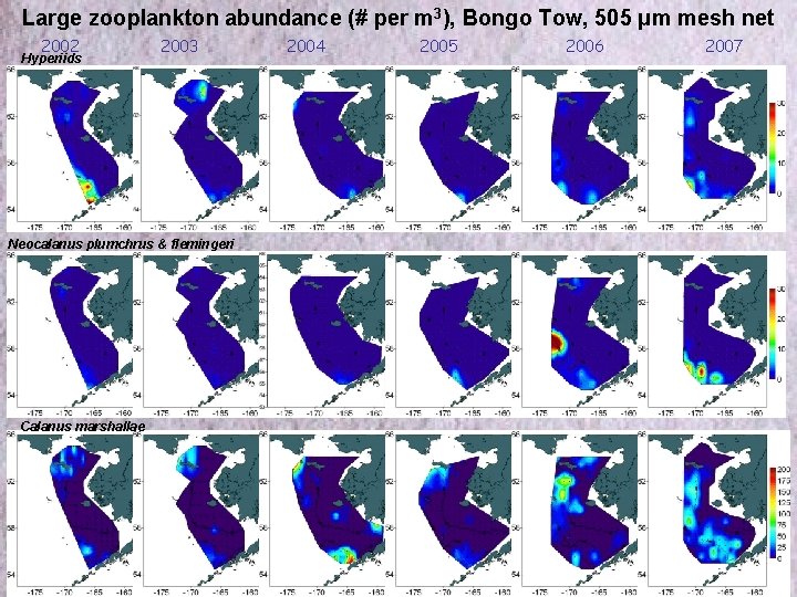 Large zooplankton abundance (# per m 3), Bongo Tow, 505 μm mesh net 2002