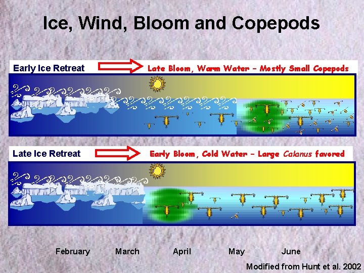 Ice, Wind, Bloom and Copepods Early Ice Retreat Late Bloom, Warm Water – Mostly