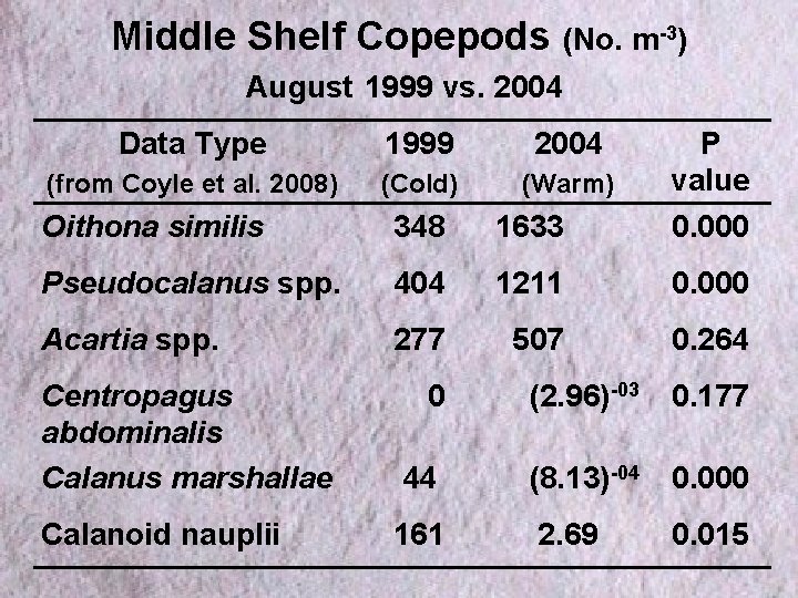 Middle Shelf Copepods (No. m-3) August 1999 vs. 2004 Data Type 1999 2004 Oithona