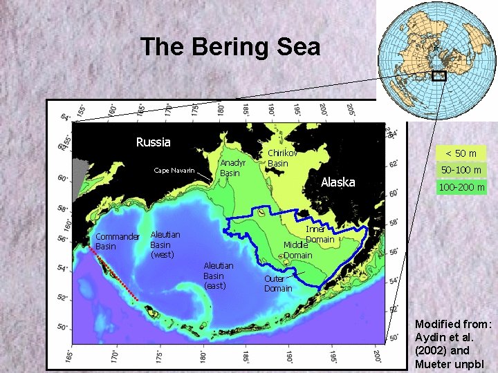 The Bering Sea Russia Cape Navarin Commander Basin Anadyr Basin < 50 m Chirikov