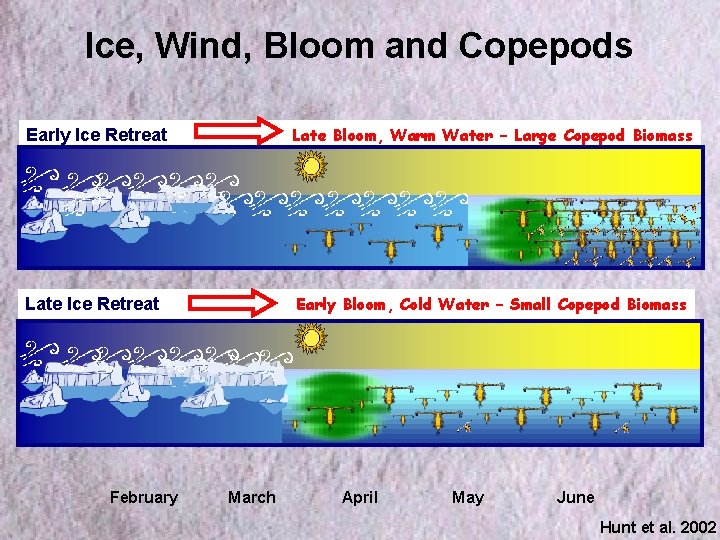 Ice, Wind, Bloom and Copepods Early Ice Retreat Late Bloom, Warm Water – Large