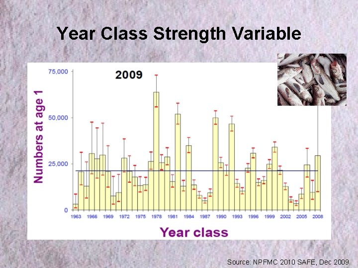 Year Class Strength Variable Source: NPFMC 2010 SAFE, Dec 2009 