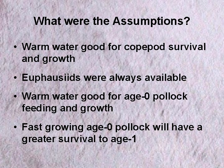 What were the Assumptions? • Warm water good for copepod survival and growth •