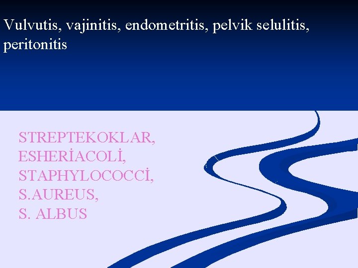 Vulvutis, vajinitis, endometritis, pelvik selulitis, peritonitis STREPTEKOKLAR, ESHERİACOLİ, STAPHYLOCOCCİ, S. AUREUS, S. ALBUS 