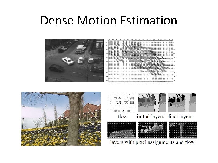 Dense Motion Estimation Dense Motion Estimation
