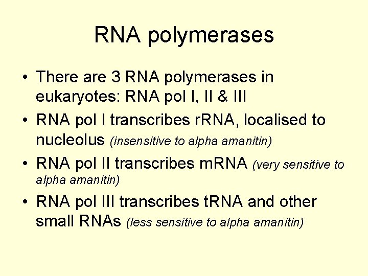 RNA polymerases • There are 3 RNA polymerases in eukaryotes: RNA pol I, II