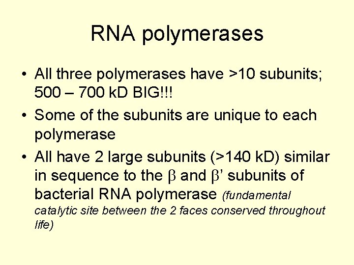 RNA polymerases • All three polymerases have >10 subunits; 500 – 700 k. D