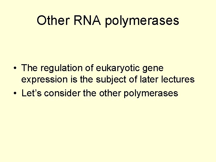 Other RNA polymerases • The regulation of eukaryotic gene expression is the subject of