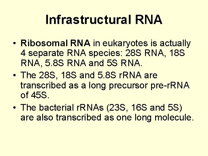 Infrastructural RNA • Ribosomal RNA in eukaryotes is actually 4 separate RNA species: 28