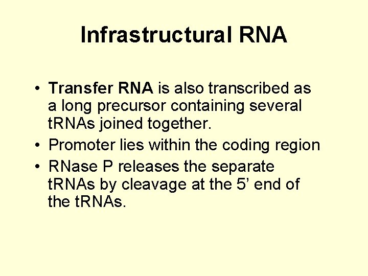 Infrastructural RNA • Transfer RNA is also transcribed as a long precursor containing several