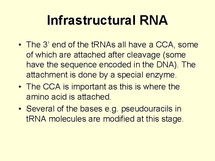 Infrastructural RNA • The 3’ end of the t. RNAs all have a CCA,