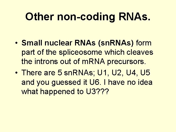 Other non-coding RNAs. • Small nuclear RNAs (sn. RNAs) form part of the spliceosome