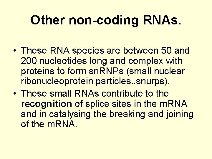 Other non-coding RNAs. • These RNA species are between 50 and 200 nucleotides long
