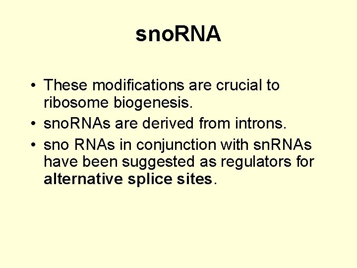 sno. RNA • These modifications are crucial to ribosome biogenesis. • sno. RNAs are