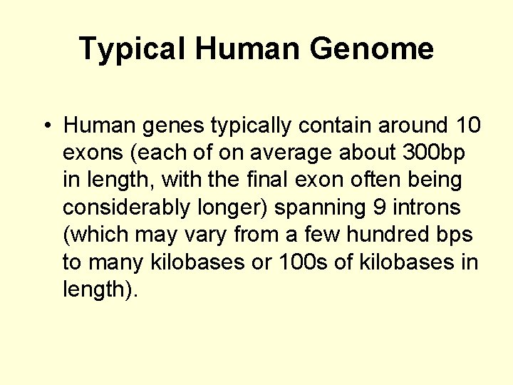 Typical Human Genome • Human genes typically contain around 10 exons (each of on