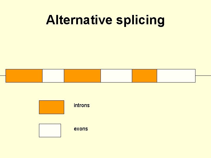 Alternative splicing introns exons 