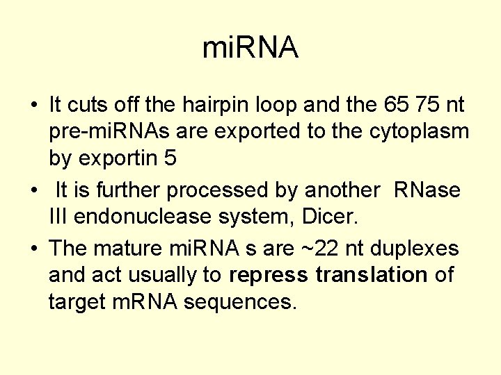 mi. RNA • It cuts off the hairpin loop and the 65 75 nt