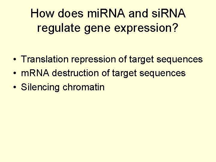 How does mi. RNA and si. RNA regulate gene expression? • Translation repression of