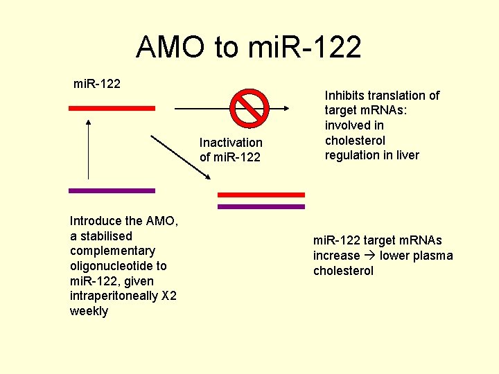 AMO to mi. R-122 Inactivation of mi. R-122 Introduce the AMO, a stabilised complementary