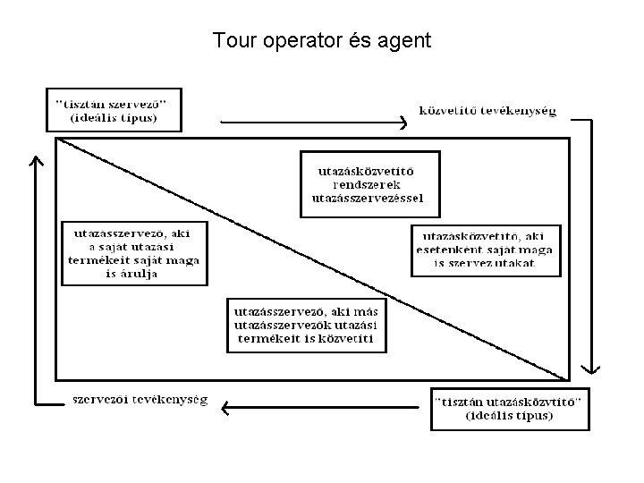 Tour operator és agent 