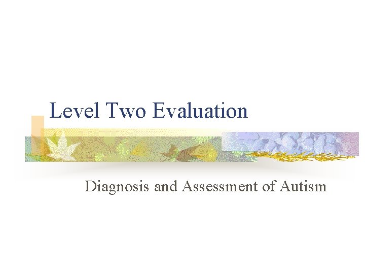 Level Two Evaluation Diagnosis and Assessment of Autism 